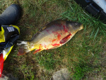 DSC01361.JPG
