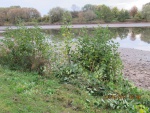 k-IMG_0105.JPG